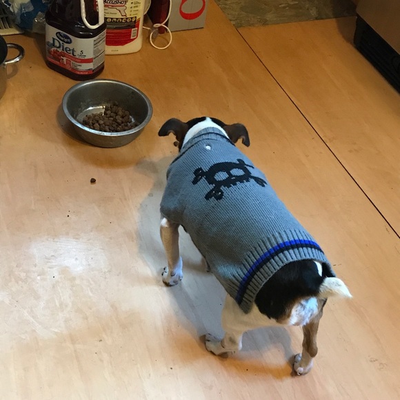 Meet your Posher, Kerry - Picture 2 of 12